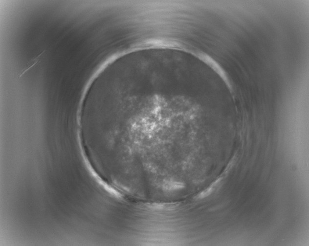 X0000068281381200605121901