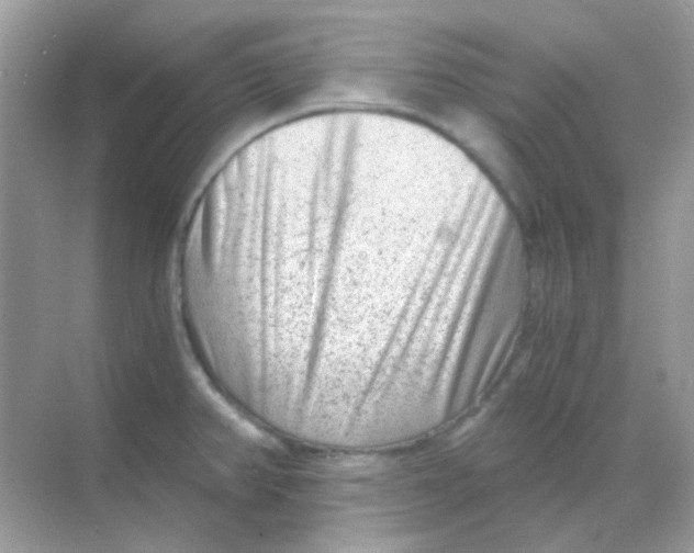 X0000068281382200605121901