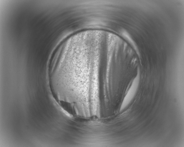 X0000068281384200605121901