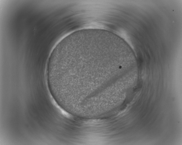 X0000068281387200605121900