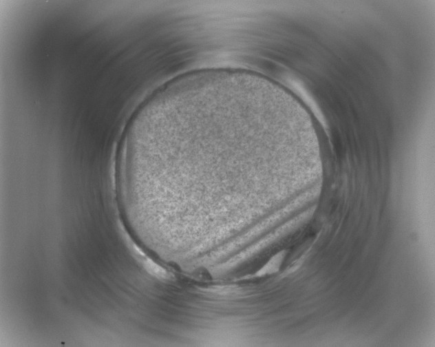 X0000068281388200605121900