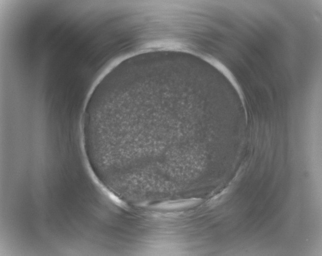 X0000068281389200605121900