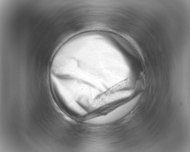 X0000068281390200605121900