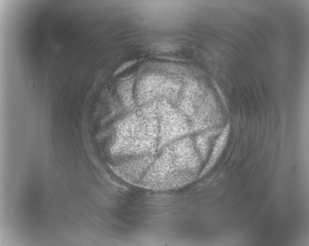 X0000068281393200605121900