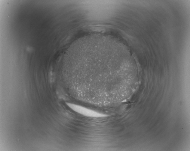 X0000068281394200605121900