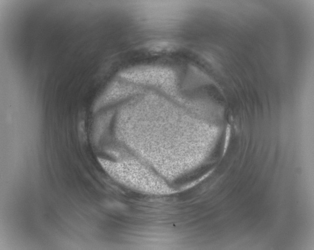 X0000068281396200605121900