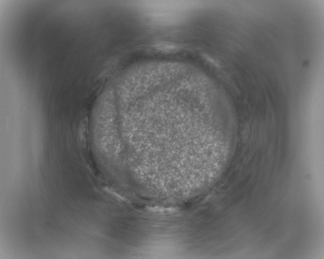 X0000068281397200605121900