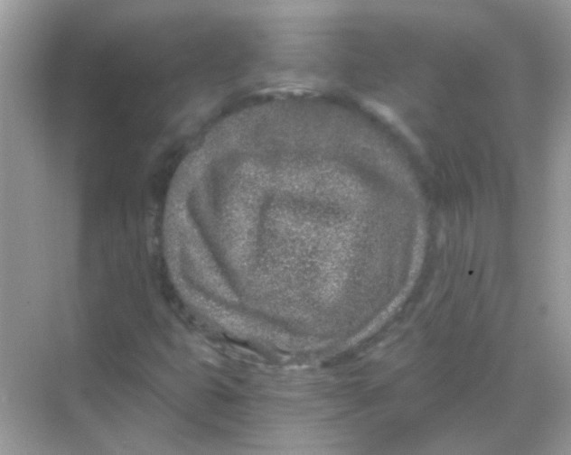 X0000068281399200605121900