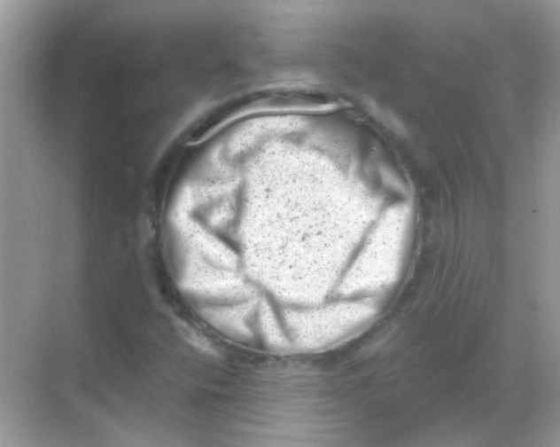 X0000068281400200605121900