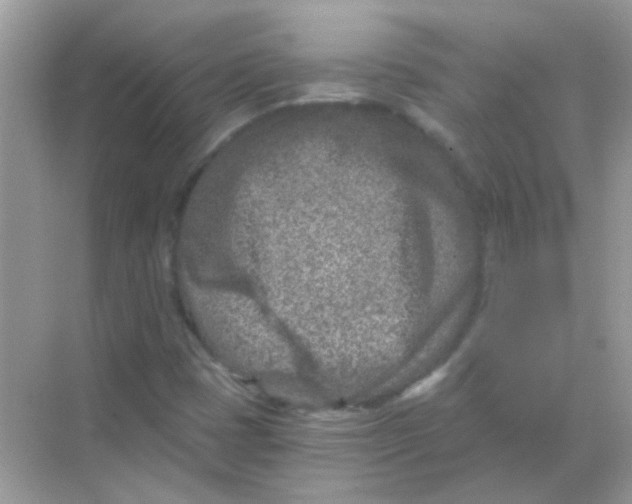 X0000068281401200605121900