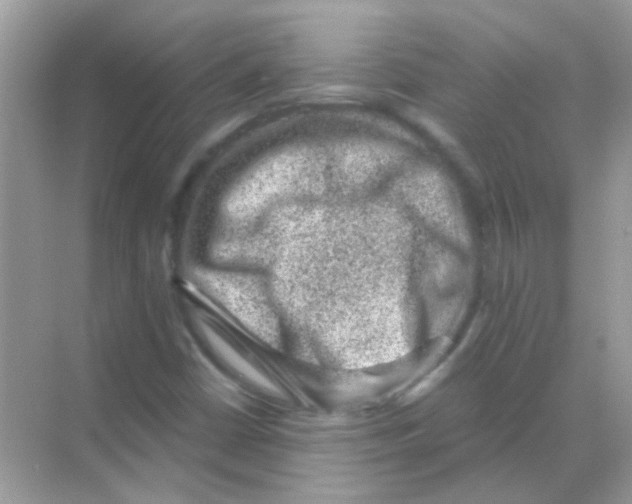 X0000068281402200605121900