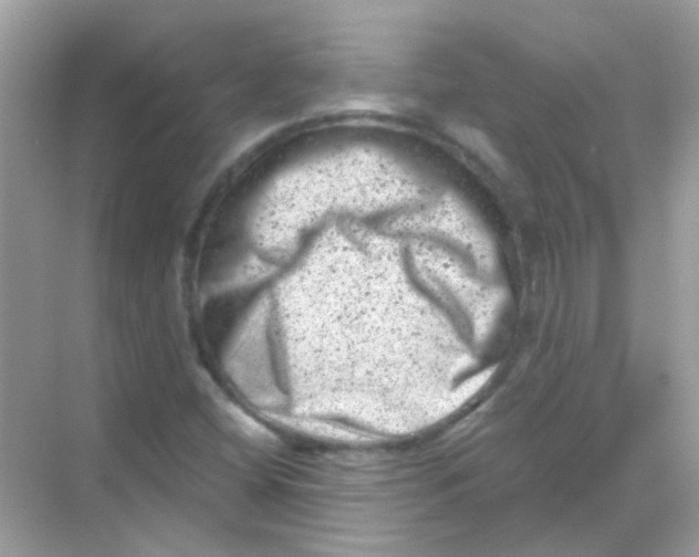 X0000068281404200605121900