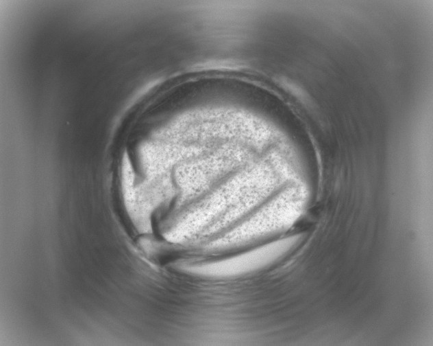 X0000068281406200605121900