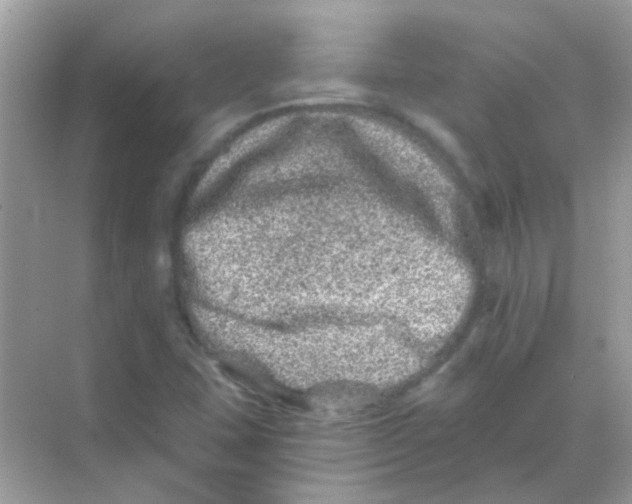 X0000068281407200605121900