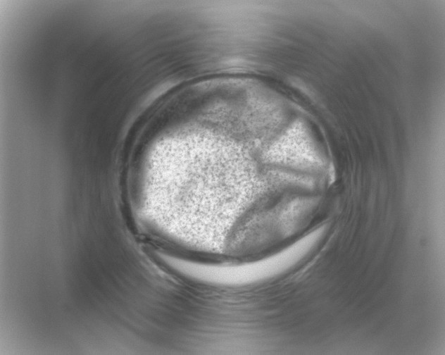 X0000068281410200605121900