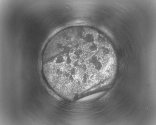 X0000068281413200605121900