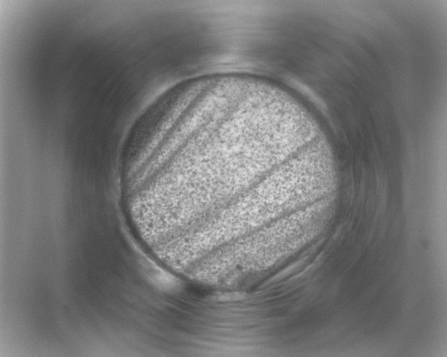 X0000068281415200605121900