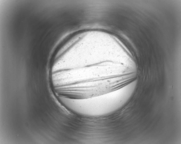 X0000068281416200605121900