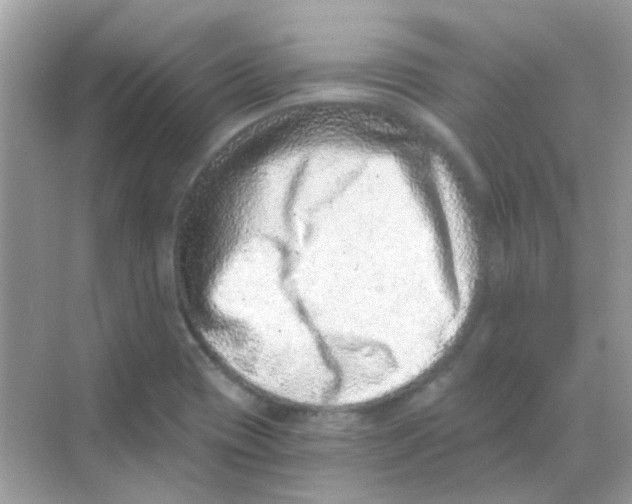 X0000068281417200605121900