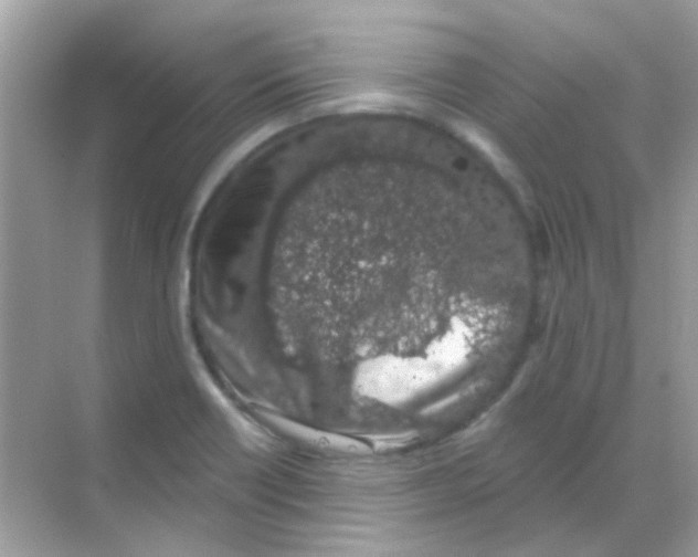 X0000068281418200605121900