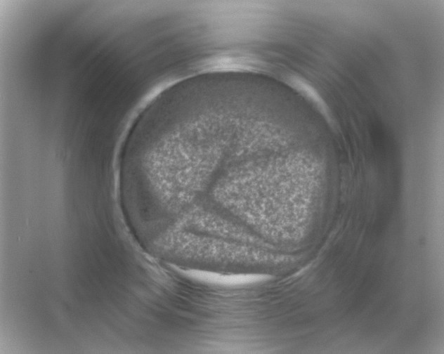 X0000068281419200605121900