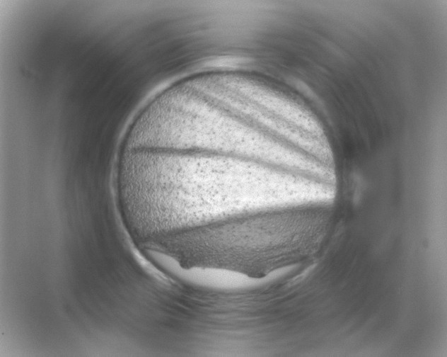 X0000068281421200605121900