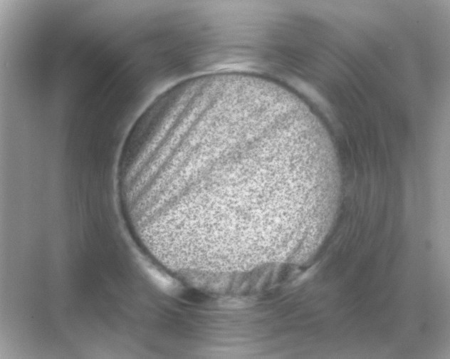 X0000068281423200605121900