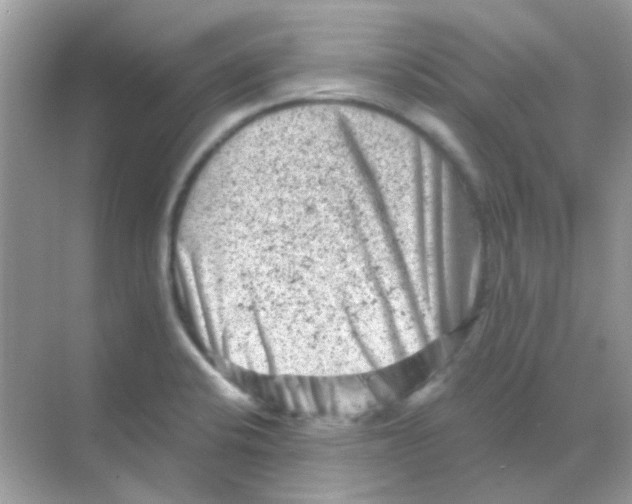 X0000068281424200605121900