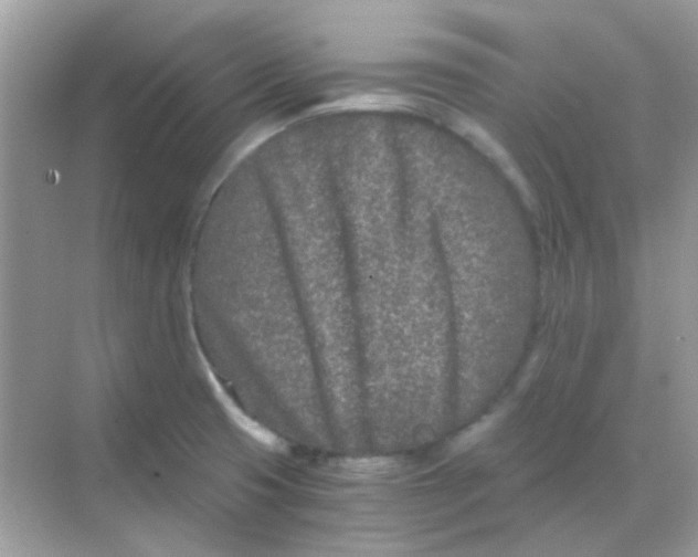 X0000068281425200605121900