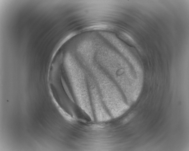 X0000068281426200605121900