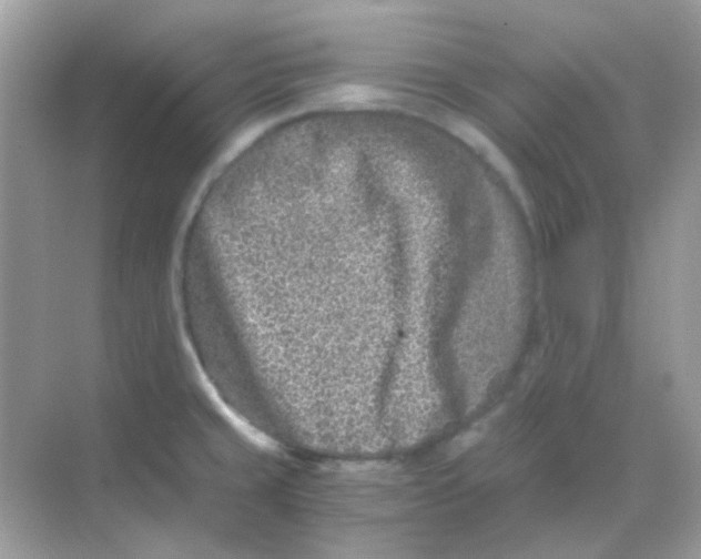 X0000068281429200605121900