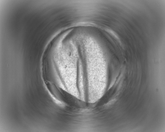 X0000068281430200605121900