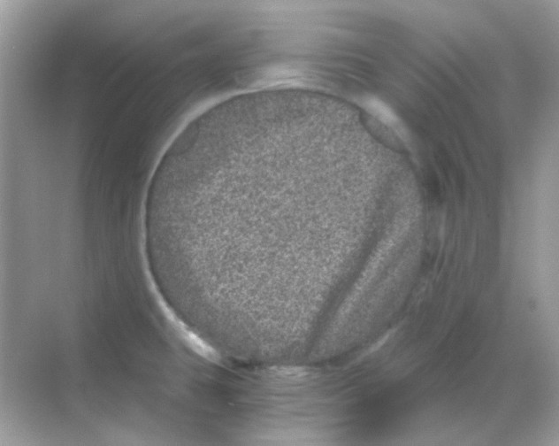 X0000068281431200605121900