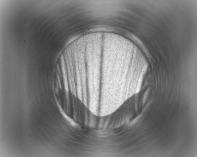 X0000068281433200605121900