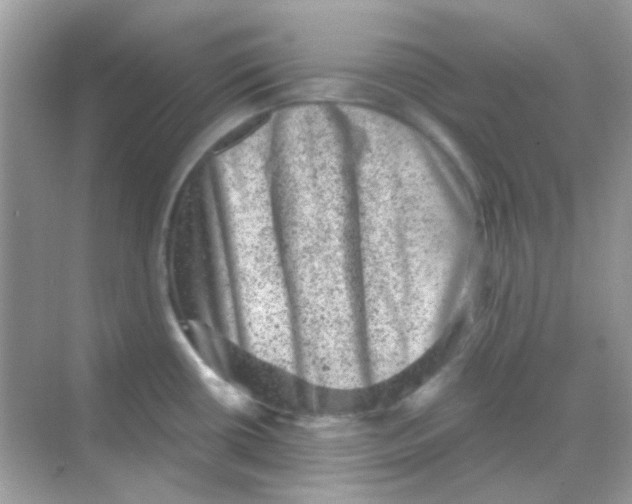 X0000068281434200605121900