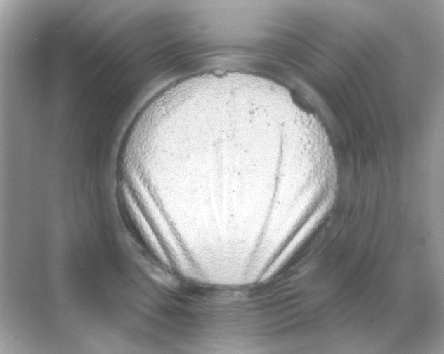 X0000068281435200605121900