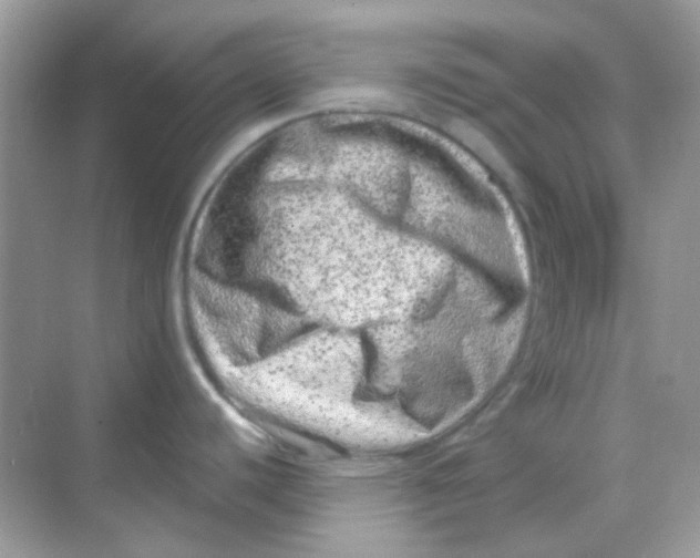 X0000068281440200605121900