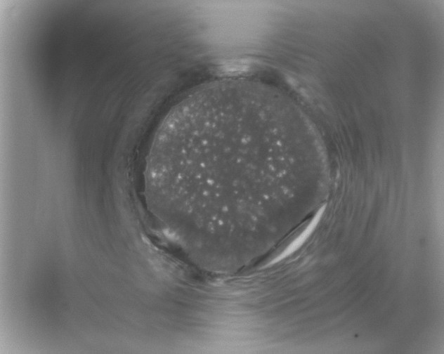 X0000068281441200605121900