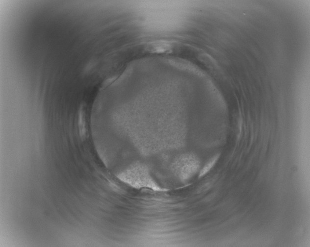 X0000068281442200605121900