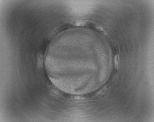 X0000068281443200605121900