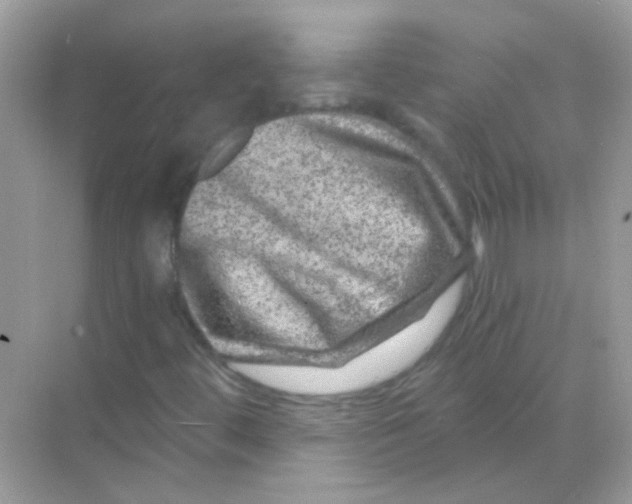 X0000068281444200605121900