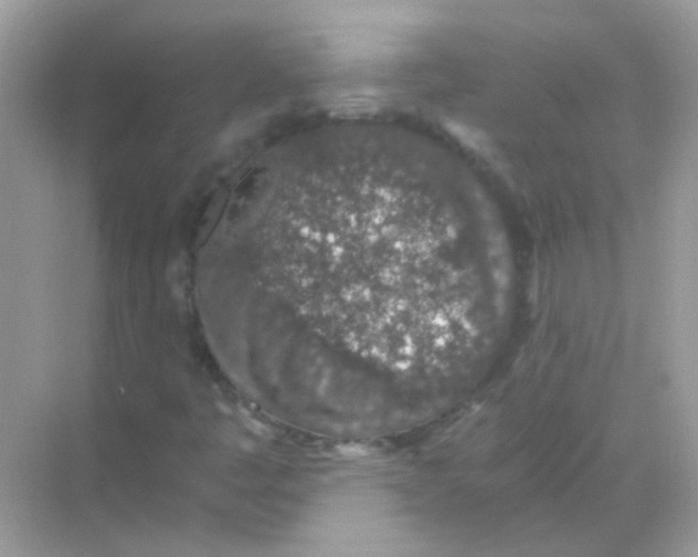 X0000068281445200605121900