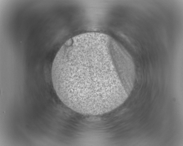 X0000068281446200605121859