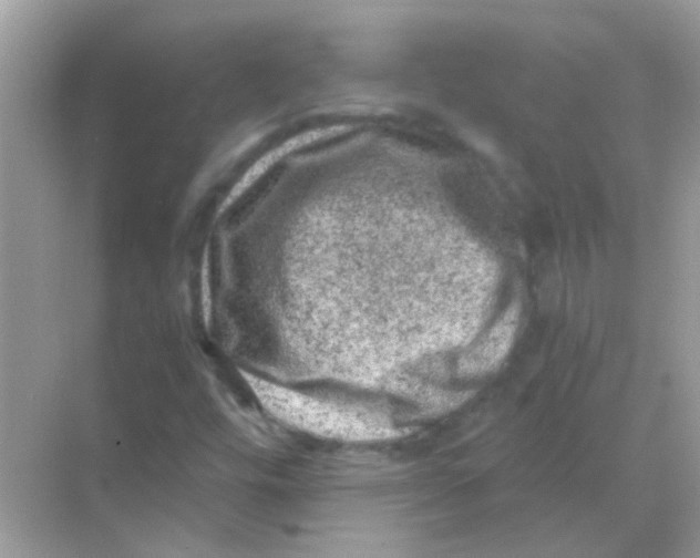 X0000068281448200605121859