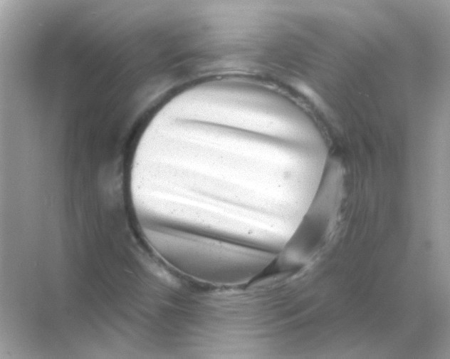 X0000068281450200605121859