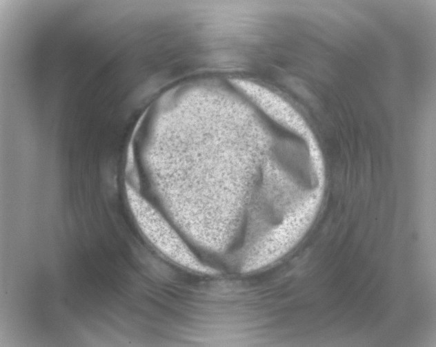 X0000068281451200605121859