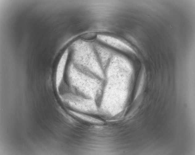 X0000068281452200605121859