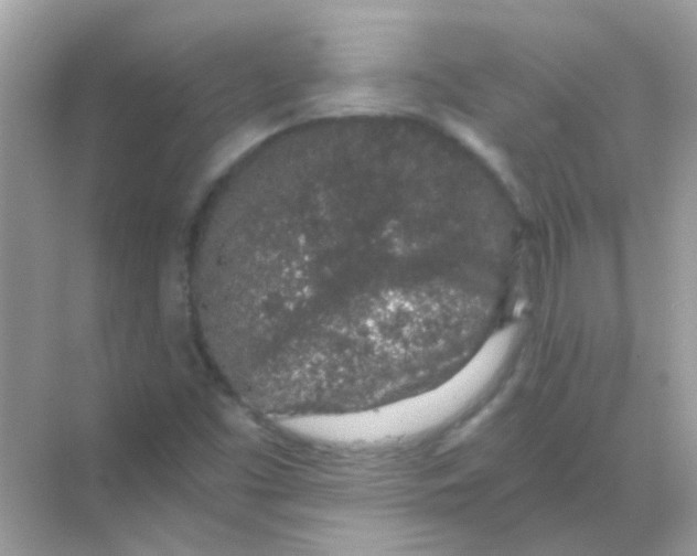 X0000068281453200605121859