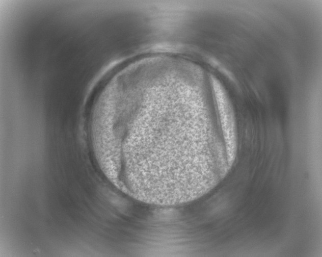 X0000068281454200605121859