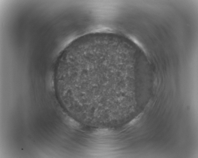 X0000068281455200605121859